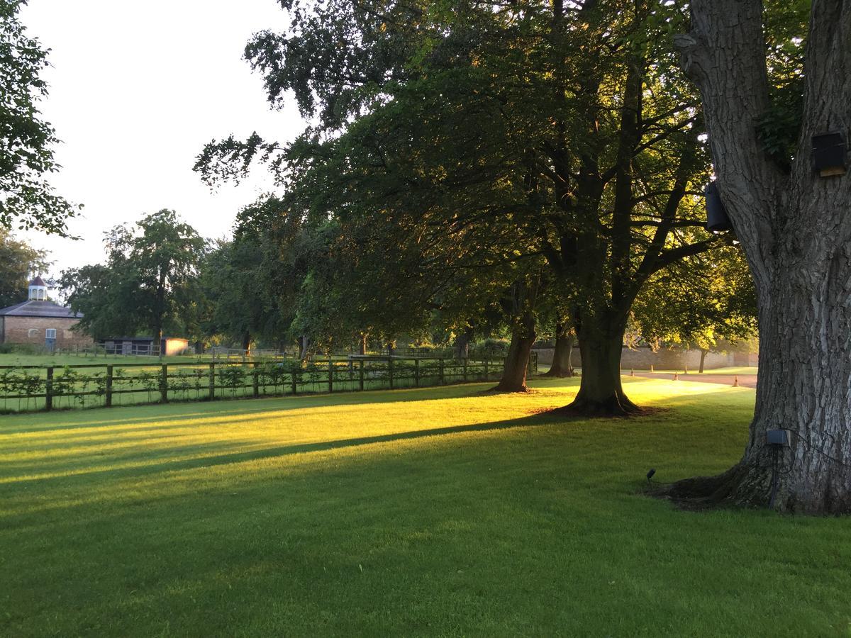Chippenham Park Garden Rooms Dış mekan fotoğraf